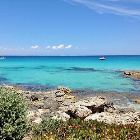 Apartments Campanitx - Astbury Formentera Es Calo  Dış mekan fotoğraf